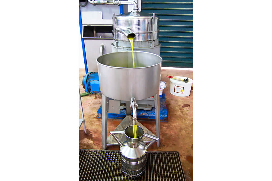 NMRV Gearbox for Processing equipment NMRV Gearbox for Processing equipment