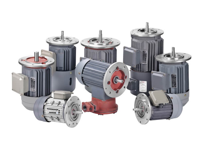 The main type of 3 phase AC motor The main type of 3 phase AC motor