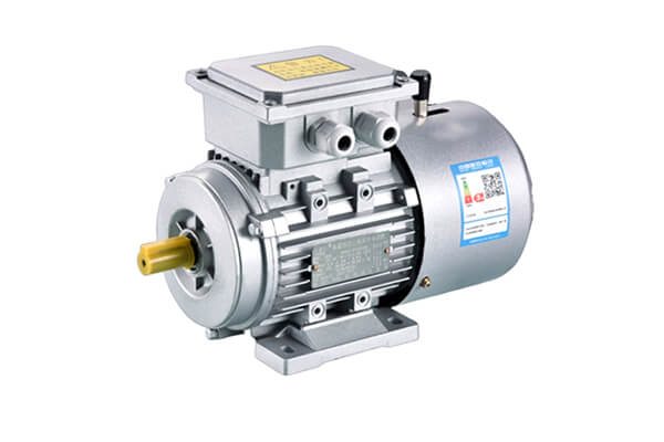 Variable Frequency and Brake 3 Phase AC Electric Motor Variable Frequency and Brake 3 Phase AC Electric Motor