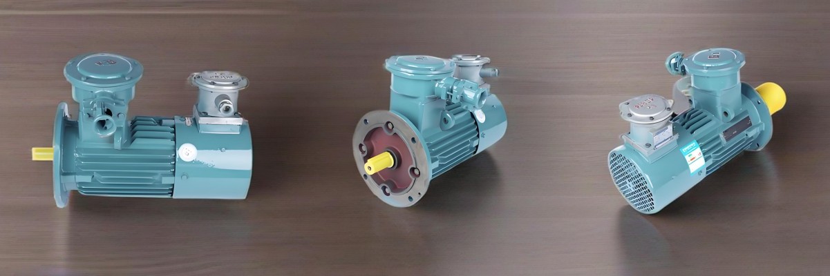 Variable Frequency Explosion-Proof Motor Variable Frequency Explosion-Proof Motor