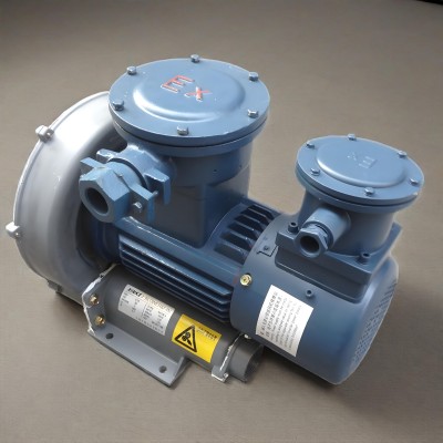 Variable Frequency Explosion-Proof Motor 3 phase Variable Frequency Explosion-Proof Motor 3 phase