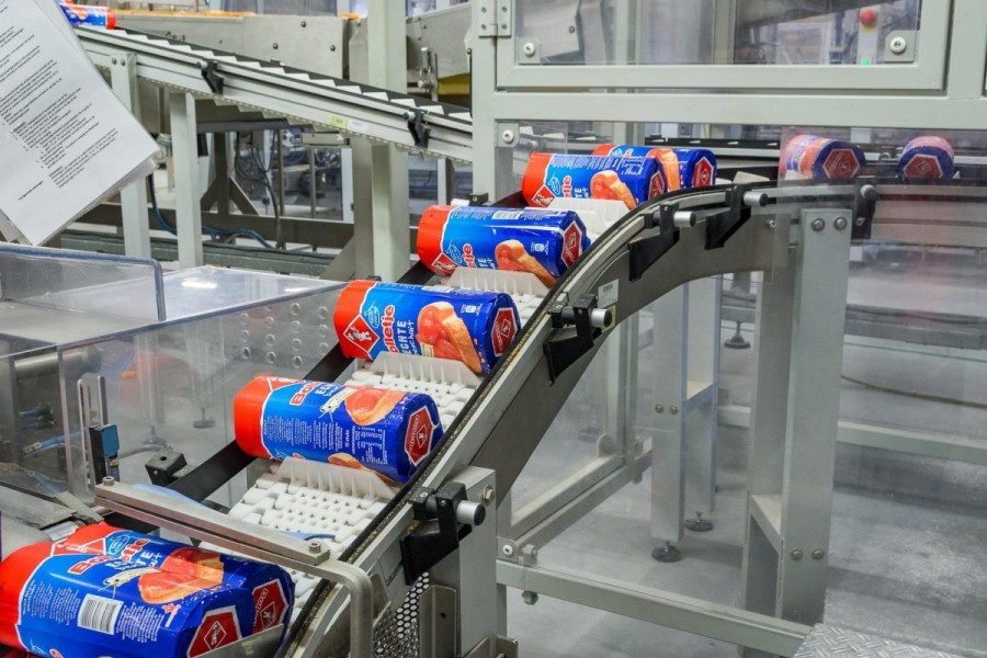 Chain Conveyor Systems Chain Conveyor Systems