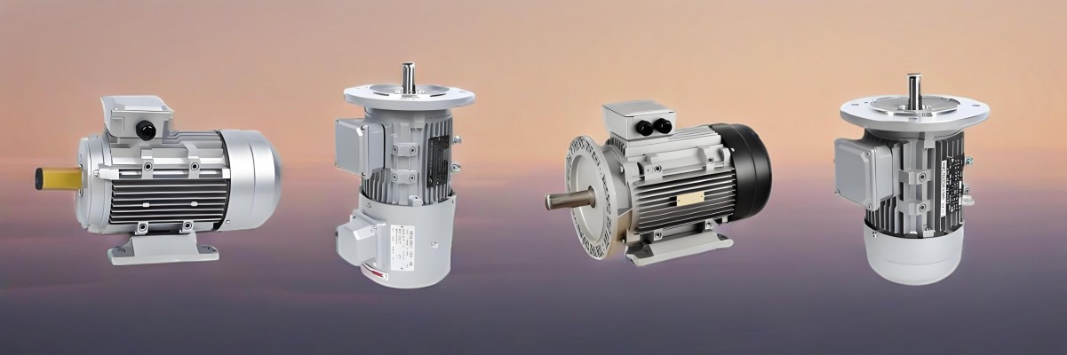 Aluminium Housing Induction Motor Aluminium Housing Induction Motor