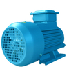 3 phase AC induction motor