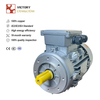 0.75 HP / 0.55 KW 3-Phase Motor