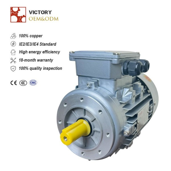 0.75 HP / 0.55 KW 3-Phase Motor
