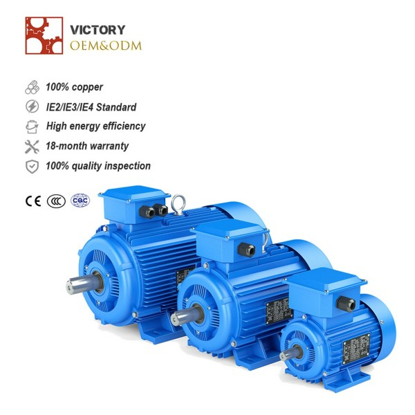 2 HP / 1.5 KW 3 Phase Motor