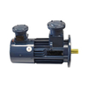 Variable Frequency Explosion-Proof Motor