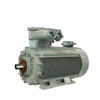 Explosion Proof Electric Motor IE4