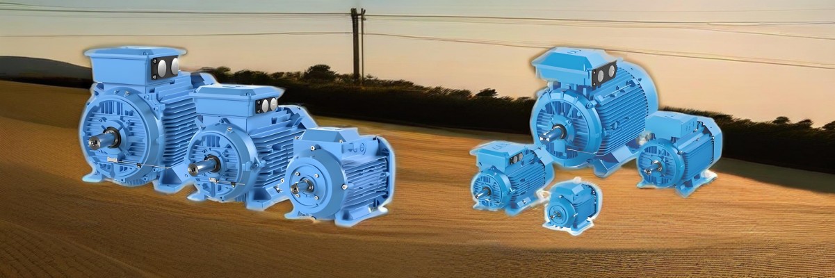 Dust Ignition Proof Motor