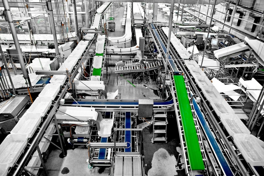 Environmental and Sustainability Impact