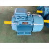 0.34 HP / 0.25 KW 3 Phase Motor