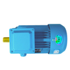 IE2 Electric Motors