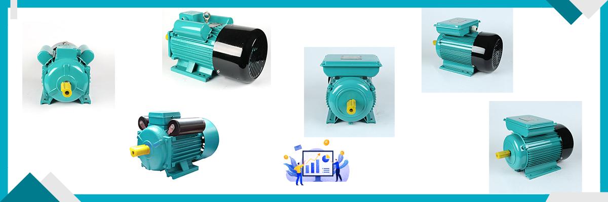 single phase induction motor