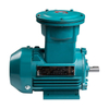 Explosion Proof Electric Motor IE3