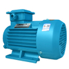 IE2 Electric Motors