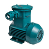 Explosion Proof Electric Motor IE3