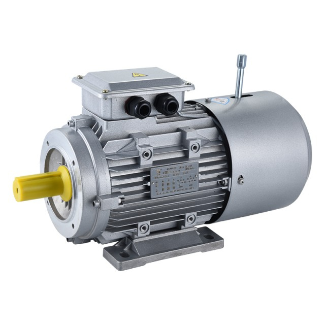 AC Brake Motor 3 Phase
