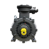 Explosion Proof Electric Motor IE4