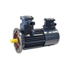 Variable Frequency Explosion-Proof Motor