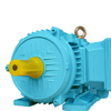 IE3 Electric Motors
