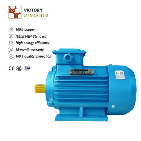 60 HP / 45 KW 3-Phase Motor