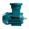 Explosion Proof Electric Motor IE3