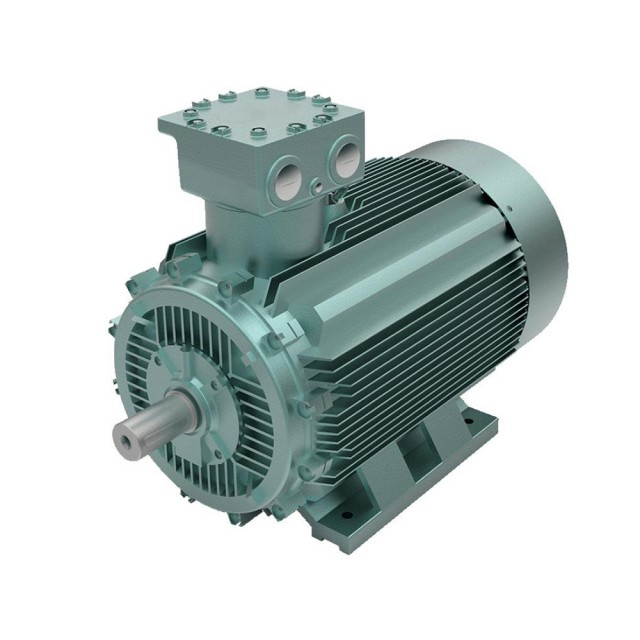 Dust Ignition Proof Motor