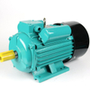 Single Phase Induction Motor