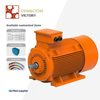 4 HP / 3 KW 3-Phase Motor