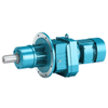 Inline Helical Gear Motor