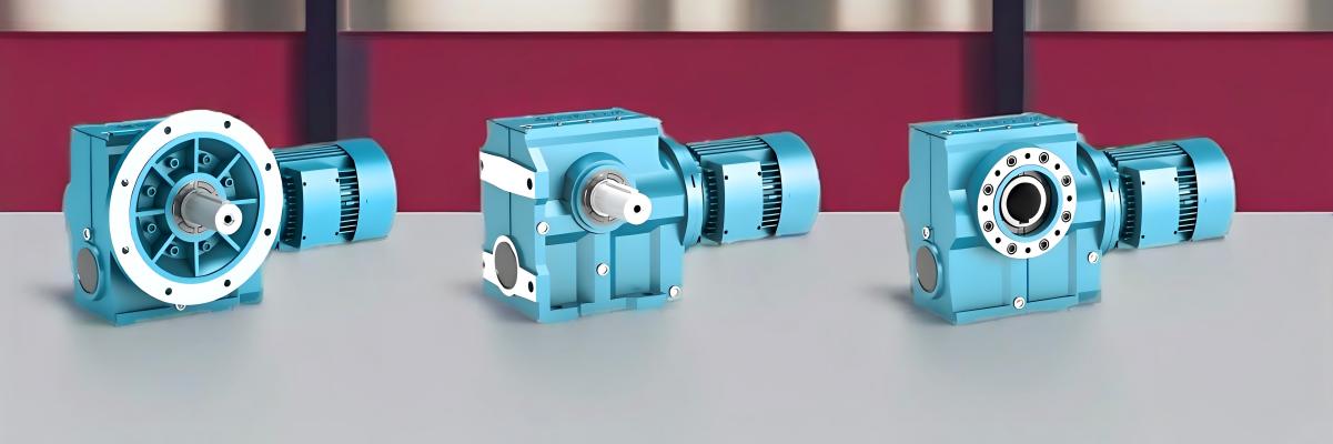Helical Worm Gear Motor