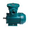 Explosion Proof Electric Motor IE3