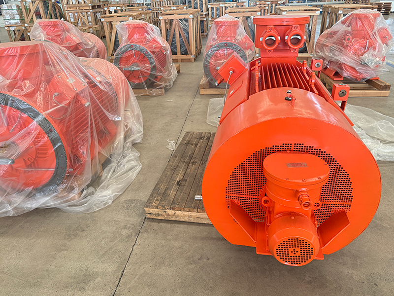 Explosion-proof-Three-Phase-AC-Motor