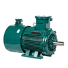 Variable Frequency Explosion-Proof Motor