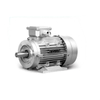 0.16 HP / 0.12 KW 3-Phase Motor