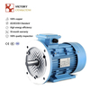 2 HP / 1.5 KW 3 Phase Motor