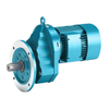 Inline Helical Gear Motor