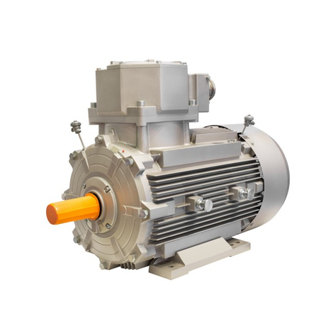 Explosionssicherer Elektromotor IE4