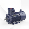 Variable Frequency Explosion-Proof Motor