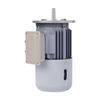 AC Brake Motor 3 Phase