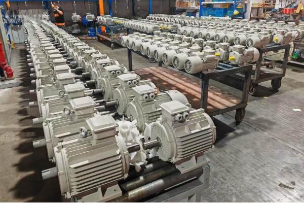 Ang pagtatapos ng ibabaw ng 3 phase AC induction motor