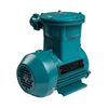 Explosion Proof Electric Motor IE3