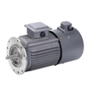 Variable Frequency Motor