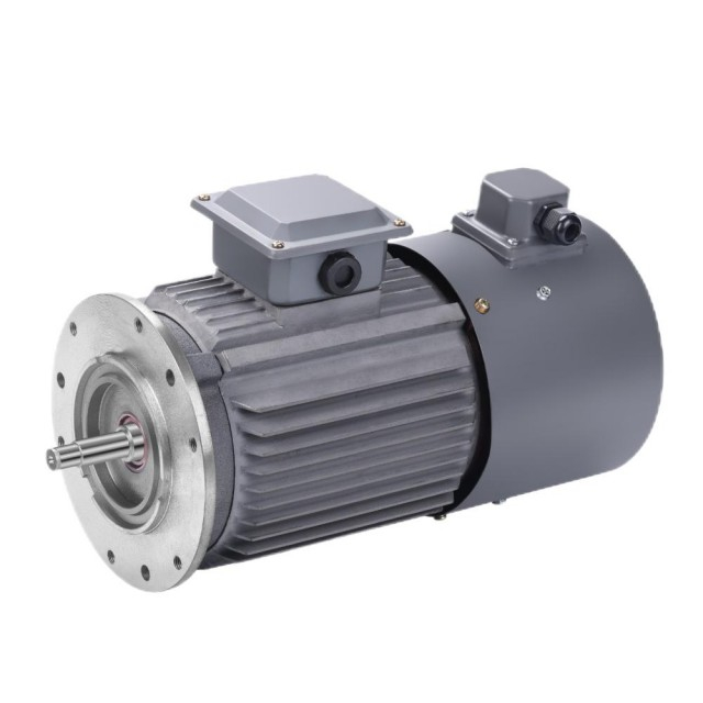 Variable Frequency Motor