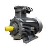 Explosion Proof Electric Motor IE4