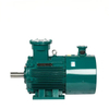 Variable Frequency Explosion-Proof Motor