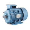 0.24 HP / 0.18 KW 3 Phase Motor