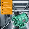 0.16 HP / 0.12 KW 3-Phase Motor