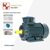 0.75 HP / 0.55 KW 3-Phase Motor